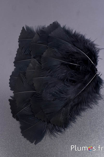Dinde crantée - 6-8 cm - noir